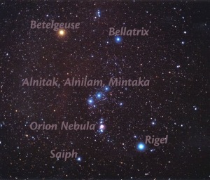 orion_spinelli_labelled