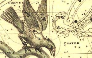 The constellation Corvus, with the Crater beside him. From the site Germanic Astromony.